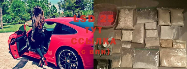 героин Богданович