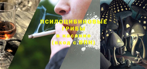 хмурый Богородицк