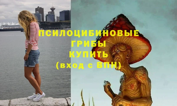 хмурый Богородицк