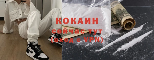 шишки Белоозёрский